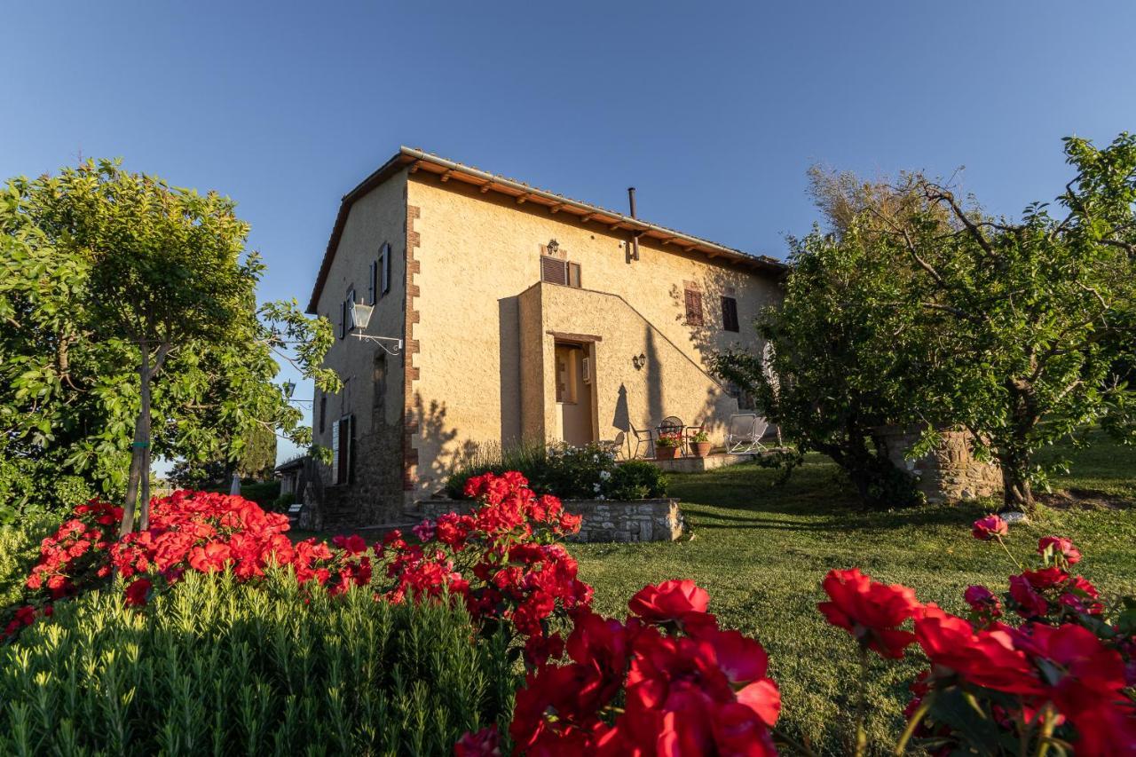 Agriturismo Casanova Asciano Buitenkant foto